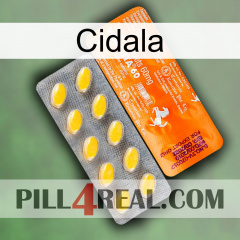 Cidala new05